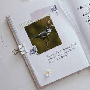 The Whimsy Bucket List ~ A Creative Activity Download