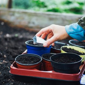 20th March 🌱 Spring Equinox Re-Set Afternoon: Journaling, Pot Painting & Planting