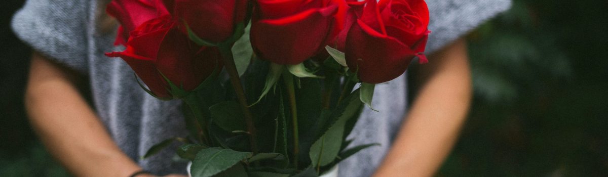 anna-hecker-HEm5eXJdveU-unsplash