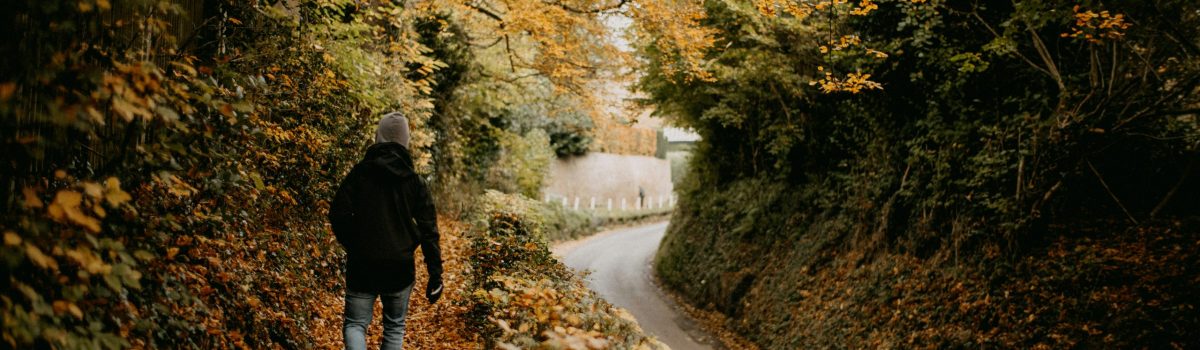 annie-spratt-7NhyA4PPfUs-unsplash