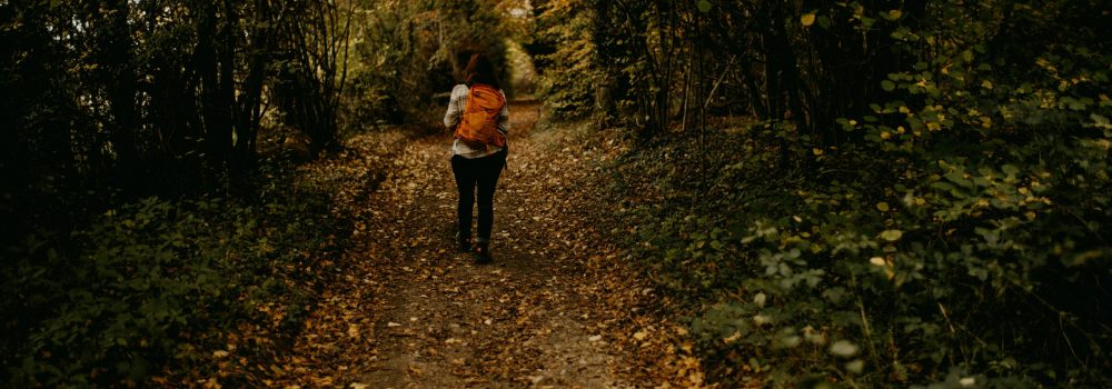 annie-spratt-VqCK9A4BHfY-unsplash